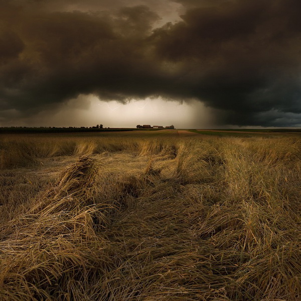 Storm Fields by Franz Schumacher Storm Fields by Franz Schumacher