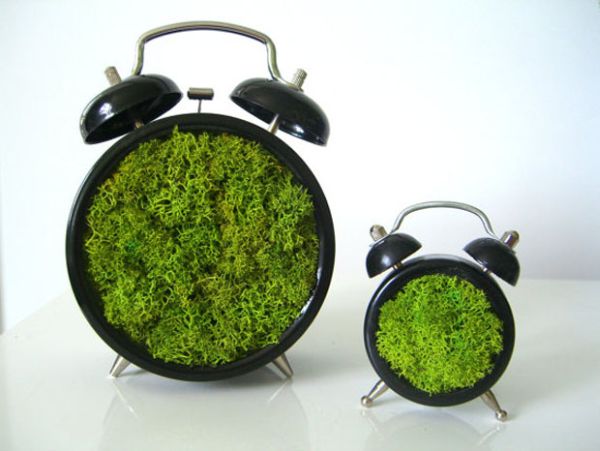 Green Moss art Moss artwork by Claire Roberts