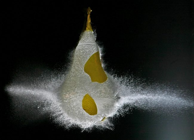 High Speed Photography by Lex Augusteijn Lex Augusteijn 650x468 High Speed Photography by Lex Augusteijn