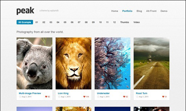 Peak Portfolio WordPress Theme 15 Fantastic Examples of Pinterest Theme