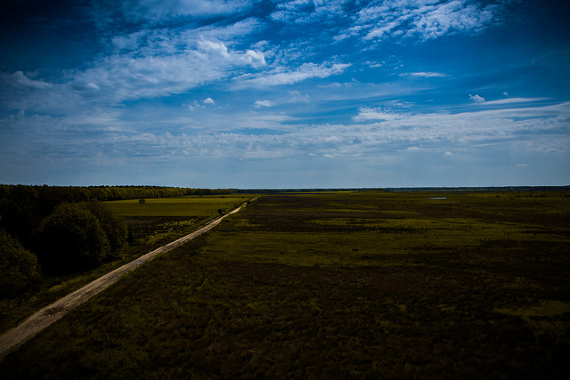 Photography by Peter Hagenouw Peter Hagenouw3 Photography by Peter Hagenouw