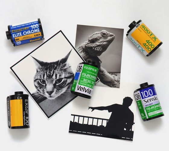 Recycled Film Roll Magnets Recycled Film Roll Magnets Recycled Film Roll Magnets