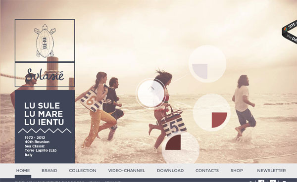 Solasié 30 Examples of Big Images in Web Design