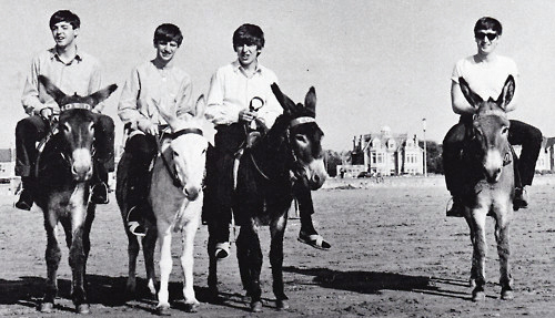 The-Beatles-on-Donkeys-1963-2.jpg