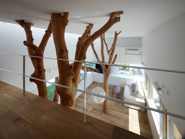 Huge Trees As Columns in Japanese Home Tree 1 Huge Trees As Columns in Japanese Home