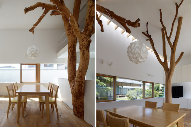 Huge Trees As Columns in Japanese Home Tree 2 Huge Trees As Columns in Japanese Home