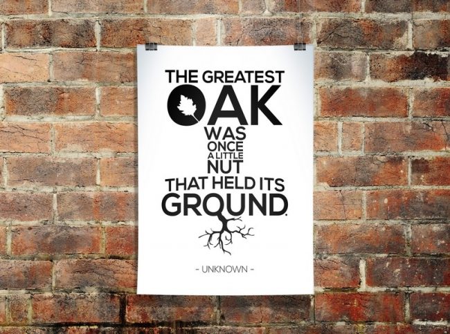 The Unknown Voices Poster Project Unknown The Greatest Oak Mockup1 650x483 The Unknown Voices Poster Project