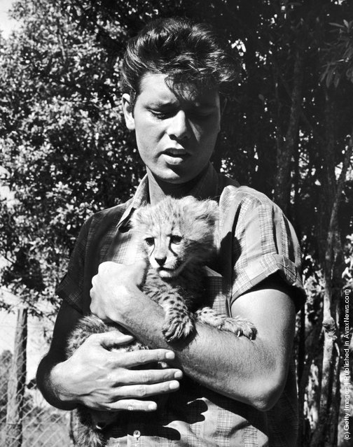 Vintage Photos of Cutie Baby Animals Vintage Photos of Cutie Baby Animals