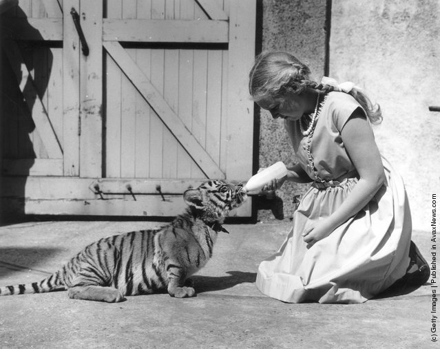 Vintage Photos of Cutie Baby Animals Vintage Photos of Cutie Baby Animals