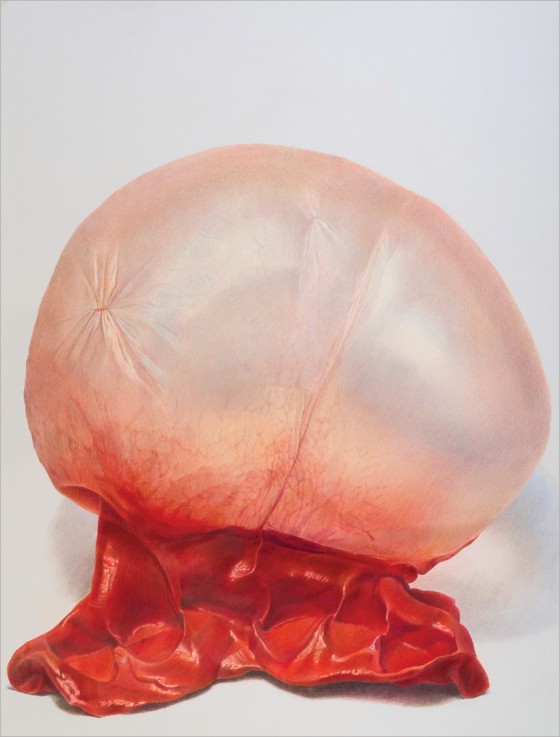 Julia Randall – Blown Watermelon large e1358961058247 Julia Randall – Blown