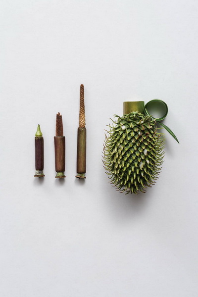 Weapons made of Plants3 640x960 Harmless Weapons Made of Plants by Sonia Rentsch