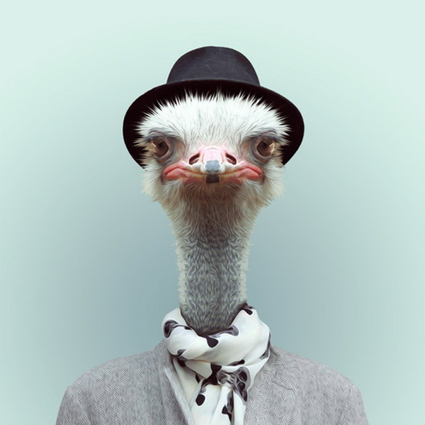 Animals Portraits by Yago Partal Yago Partal19 Animals Portraits by Yago Partal