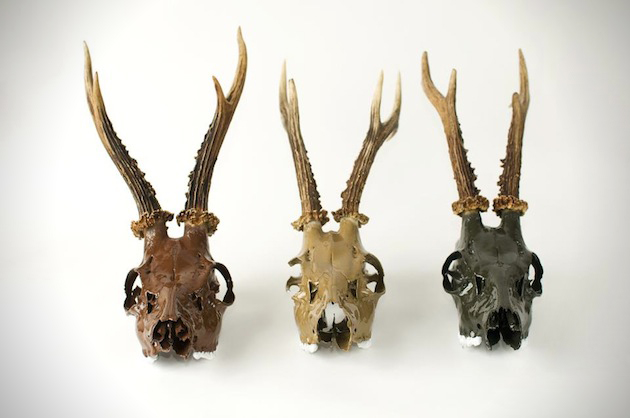 Bold Painted Skull Wall Mounts anima 1 Bold Painted Skull Wall Mounts
