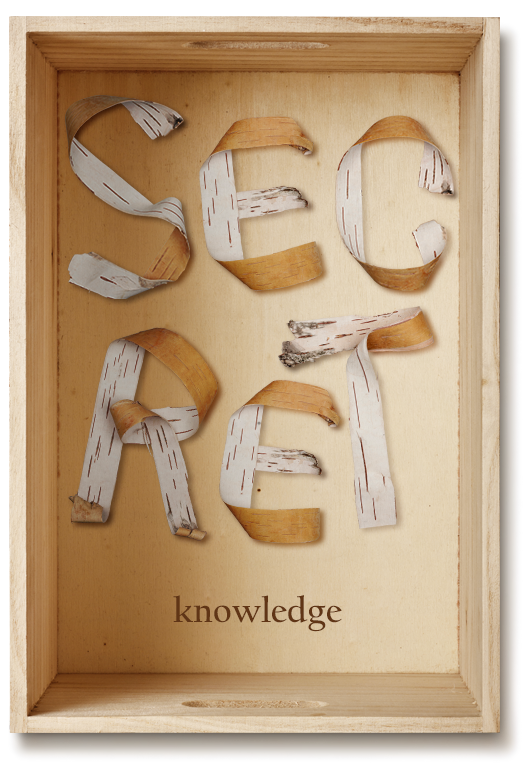 birch bark font poster1 Beauty of forest. 