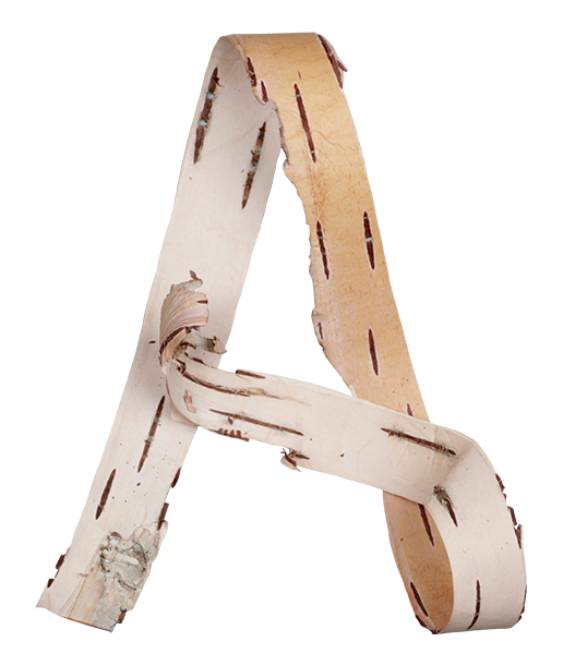 birch bark font poster2 Beauty of forest. 