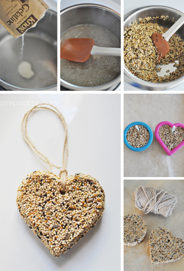 DIY Bird Feeder bird1 DIY Bird Feeder