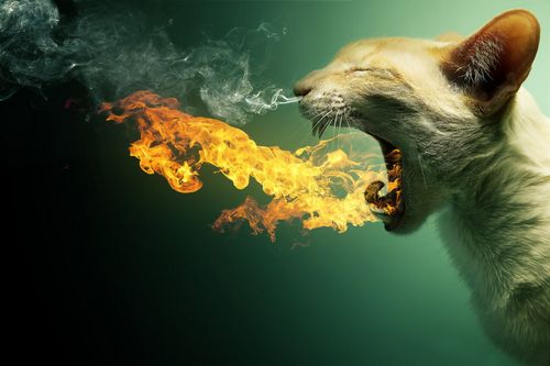 30 New Examples Of Fantastic Photo Manipulation fresh photomanip 11 30 New Examples Of Fantastic Photo Manipulation