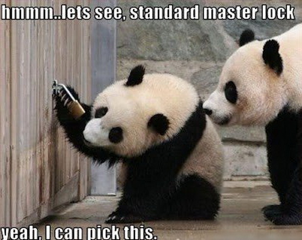 funny animals 11 Funny Animals