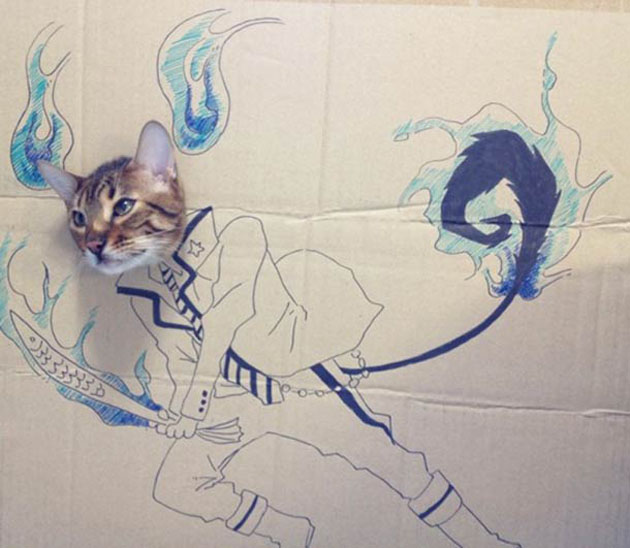 funny cardboard kitty 14 Funny Cardboard Kitty