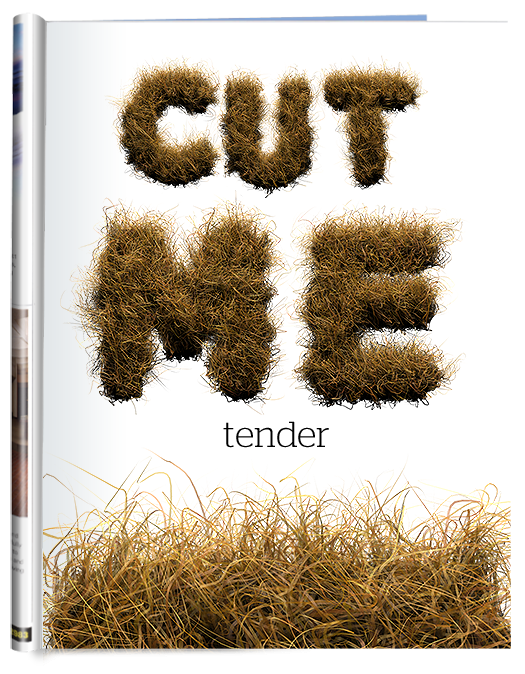 hay fur font poster1 Have been cut, dried, and stored for use.
