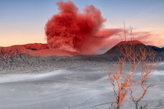 Mount Bromo in Indonesia helminadiajaburmountbromo1 640x435 650x433 Mount Bromo in Indonesia