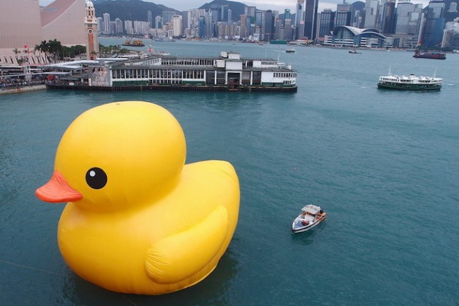 Giant “Rubber Duck” by Florentijn Hofman hongkongduck03 650x433 Giant “Rubber Duck” by Florentijn Hofman