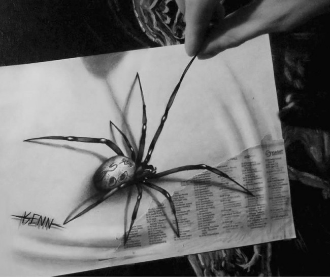 Are you Scared of Spiders? keenn skogli 04 650x547 Are you Scared of Spiders?