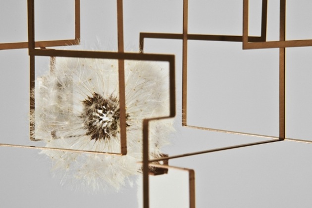 lite 1 Light Fixtures Created With Real Dandelion Seeds