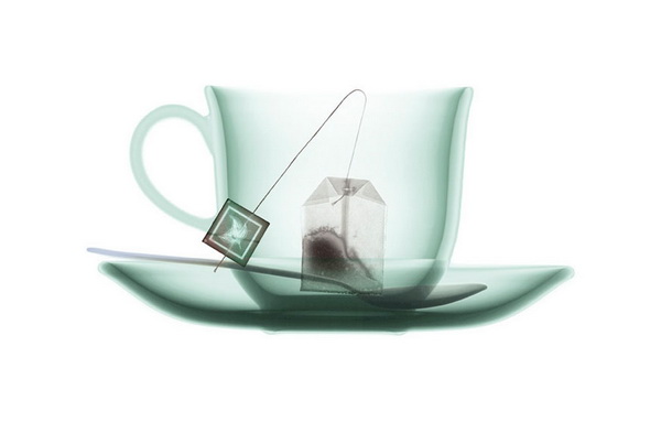 X Ray Photography by Nick Veasey nick veasey14 X Ray Photography by Nick Veasey