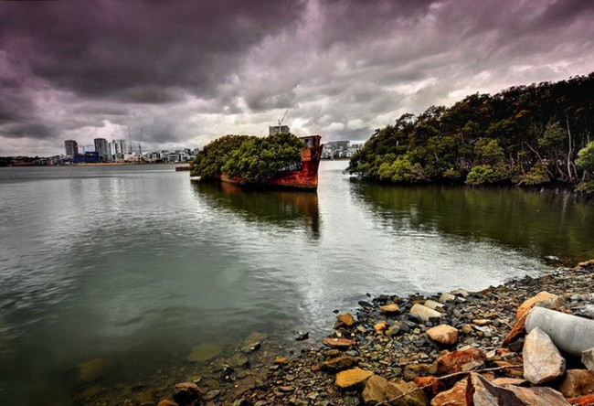 Floating Forest – SS Ayrfield ssayrfieldfloatingforest6 650x444 Floating Forest – SS Ayrfield