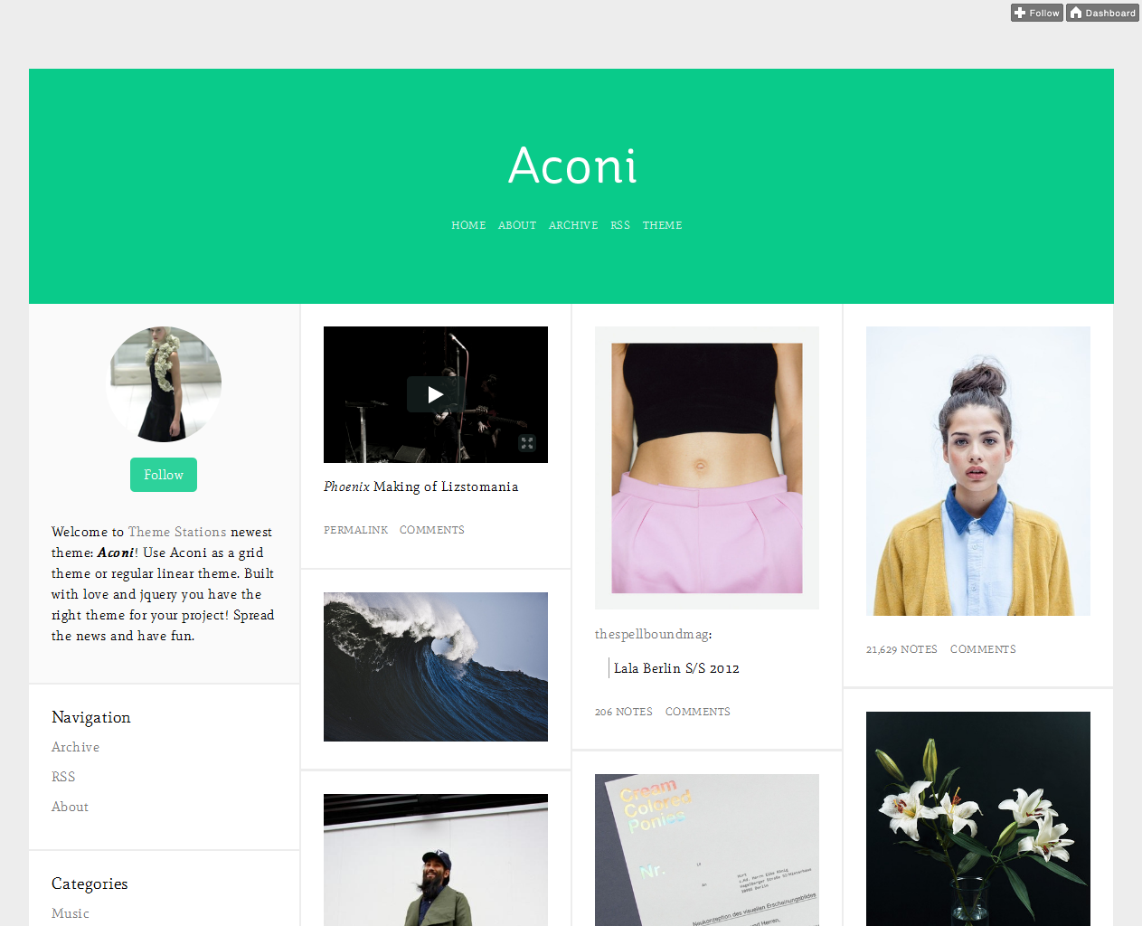 45 Free Grid Based Tumblr Themes t aconi11 45 Free Grid Based Tumblr Themes