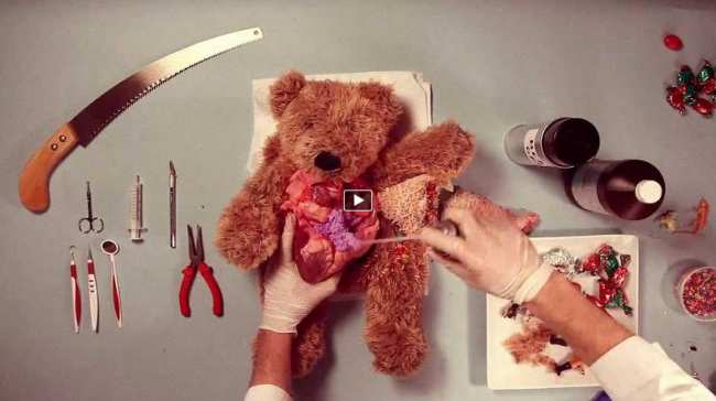 teddy 650x364 Teddy Has An Operation