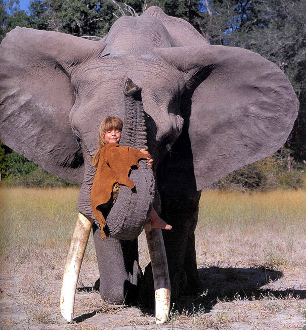 Tippi and Africa tippi and wild life 1 Tippi and Africa