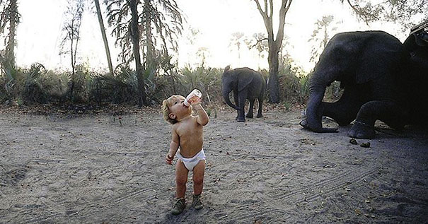 Tippi and Africa tippi and wild life 2 Tippi and Africa