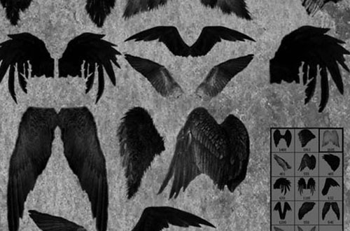 1.photoshop wing brushes Collection Of Free Photoshop Wing Brushes
