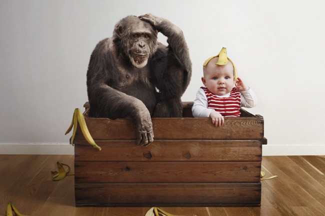 Amazing talents of a super baby 1600x1200 8 650x432 Amazing talents of a super baby