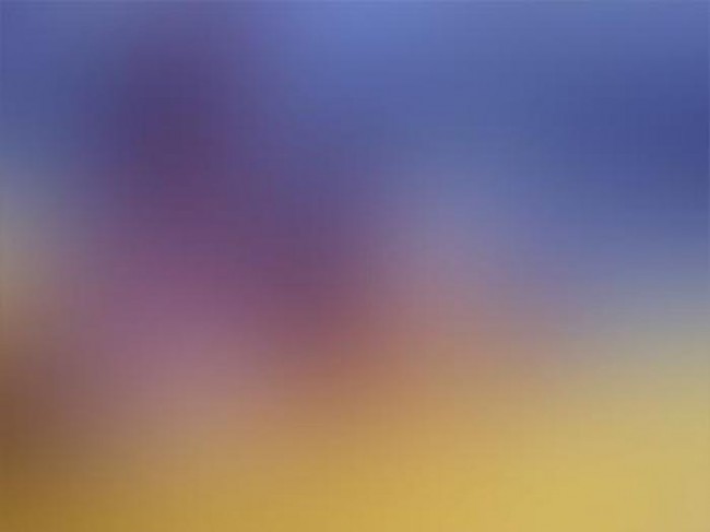 Effective Free Blur Background for Designers of 2013 Blur Backgrounds 16 650x487 Effective Free Blur Background for Designers of 2013