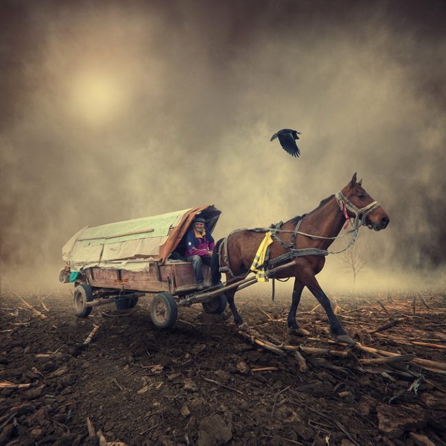 Caras Ionut 650x650 Photo Manipulations by Caras Ionut