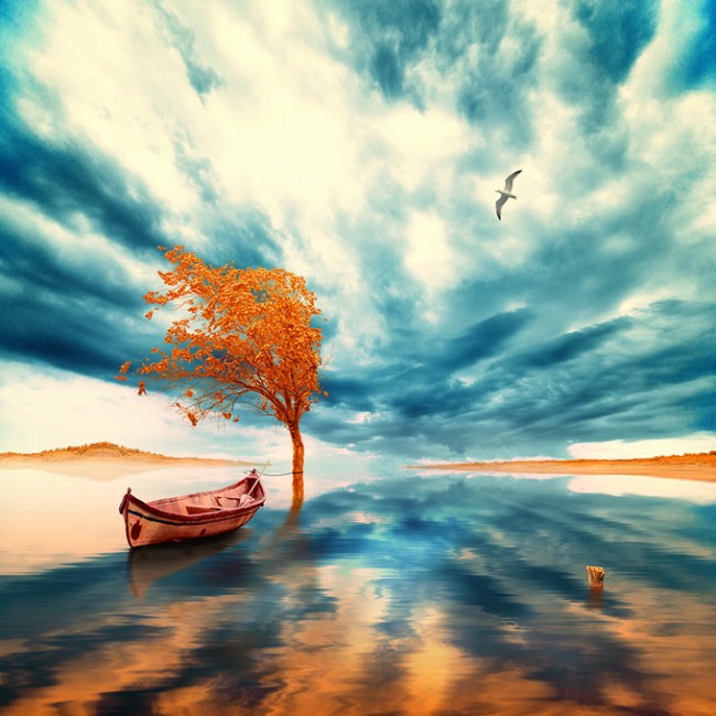 Caras Ionut3 650x650 Photo Manipulations by Caras Ionut
