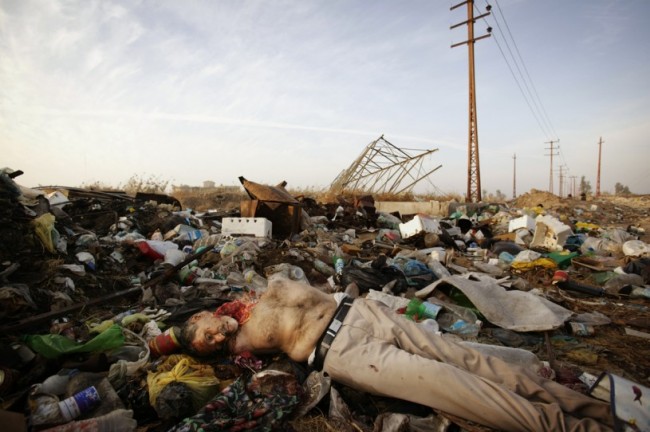 Documentary Photography by Christoph Bangert Christoph Bangert3 650x432 Documentary Photography by Christoph Bangert