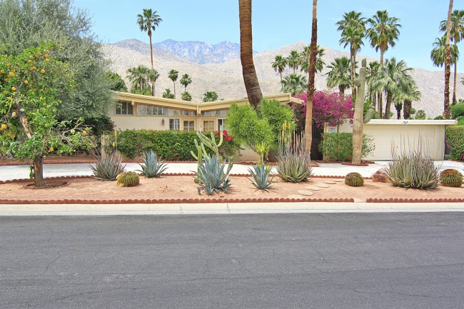 Palm Springs by Dolly Faibyshev Dolly Faibyshev 650x433 Palm Springs by Dolly Faibyshev