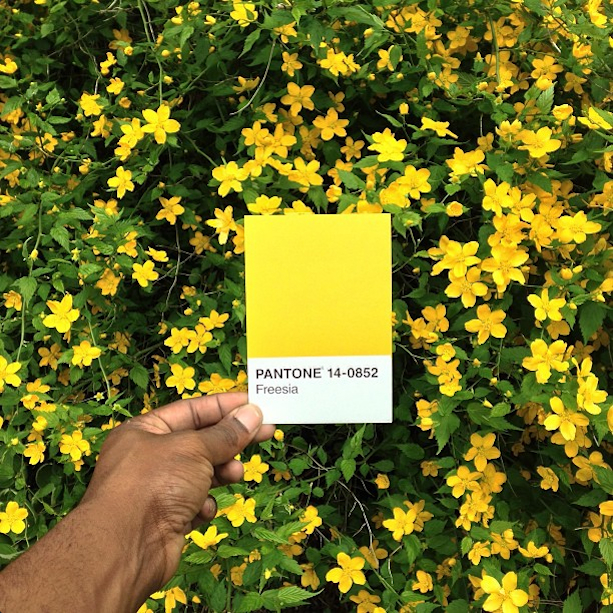 The Pantone Project Paul Octavious Global Yodel 5 The Pantone Project