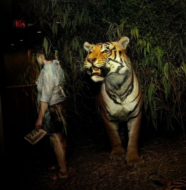 Natural History by Traer Scott Traer Scott3 650x666 Natural History by Traer Scott