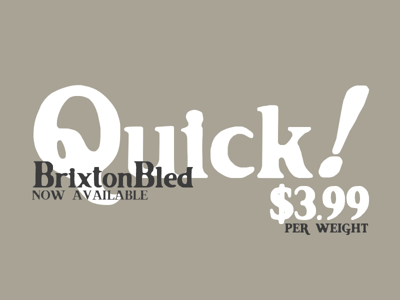 dribbble1 Font Download   Brixton Bled   A Creative Take on Vintage Printing 