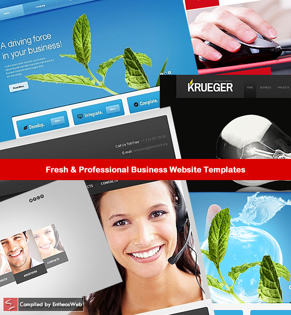 Fresh & Professional Business Website Templates fpbwt fimg Fresh & Professional Business Website Templates