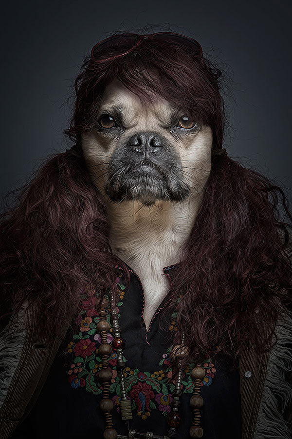 half human half dog portraits sebastian magnani a Underdogs (Part 2) by Sebastian Magnani