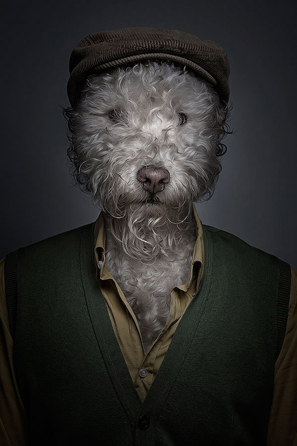 half human half dog portraits sebastian magnani b Underdogs (Part 2) by Sebastian Magnani