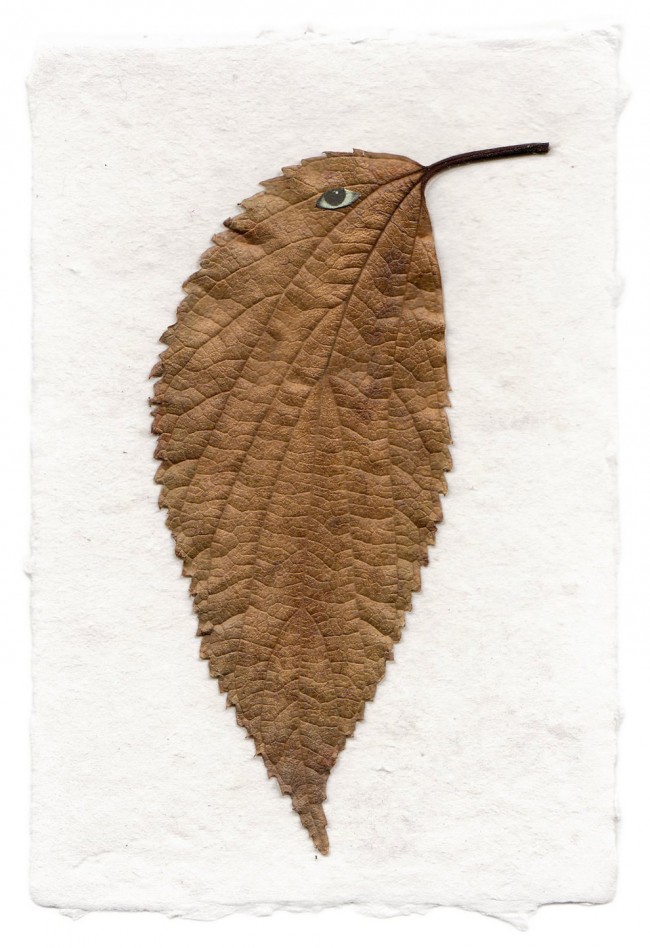 Artist Transforms Natural Leaves to Look Like Birds leaves transformed to look like birds javier jaen benavides 2 650x948 Artist Transforms Natural Leaves to Look Like Birds
