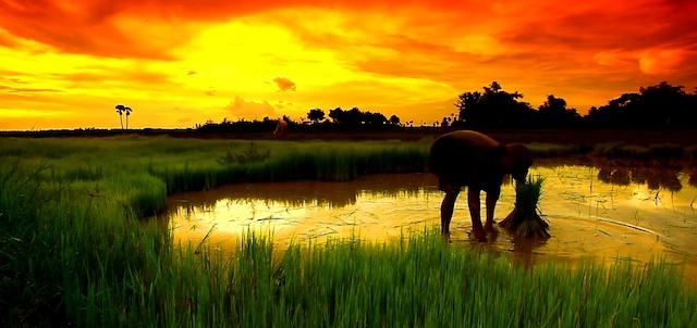 southwind 01 Southwind – A cinematic Journey through Southeast Asia