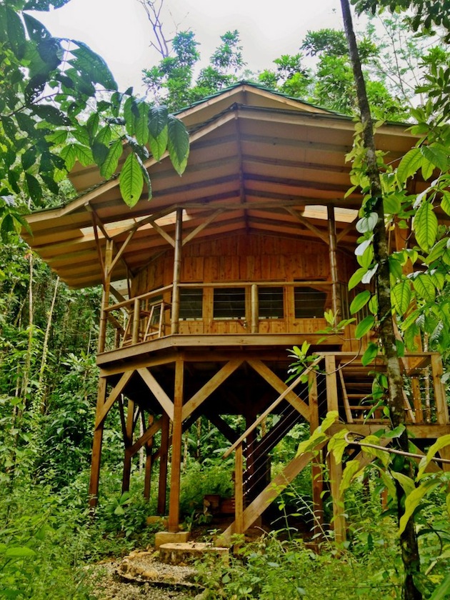 tree 1 Treehouses For a Costa Rican Jungle Getaway